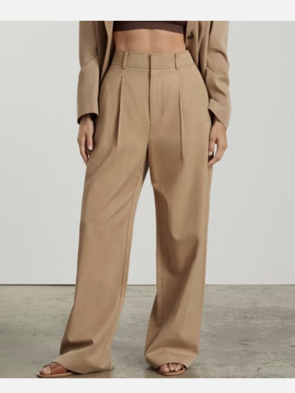 Everlane Way High Drape Pant